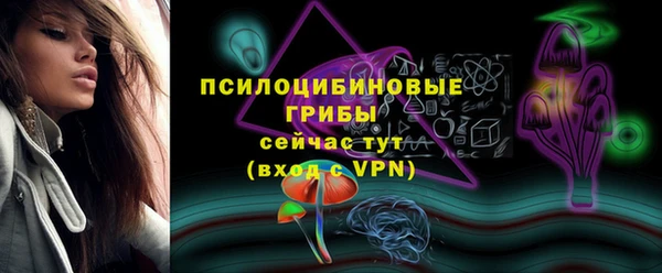 шишки Рославль