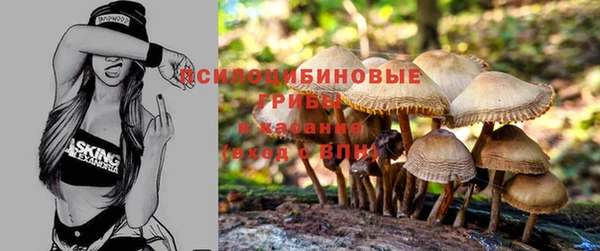 spice Ростов