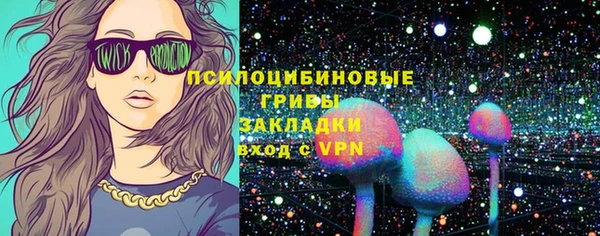 ГАЛЛЮЦИНОГЕННЫЕ ГРИБЫ Абаза