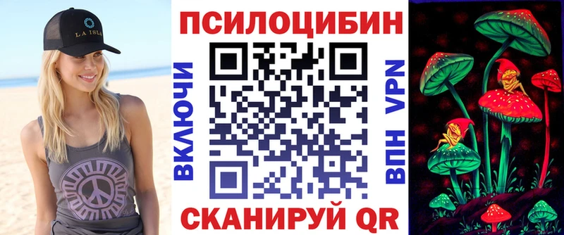 Псилоцибиновые грибы Psilocybine cubensis  дарнет шоп  Богданович 